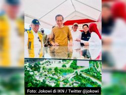 Jokowi optimis kawasan IKN siap digunakan perayaan HUT Kemerdekaan RI 2024