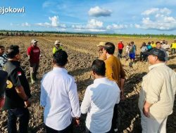 Pemerintah Buka Lahan Jagung 10 Ribu Hektar di Kabupaten Keerom Papua
