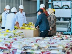 Musim Panen Padi Tiba, Bulog Diminta Serap Maksimal Gabah Petani