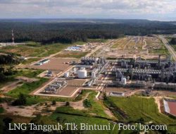 Proyek LNG Tangguh di T. Bintuni Papua Barat Terindikasi Rusak Ekosistem Mangrove, Haris Pertama: Melanggar Undang-Undang