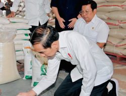 Antisipasi Perubahan Iklim dan El Nino, Presiden Cek Ketersediaan Beras Bulog