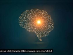 Neuroplastisitas dan Pembelajaran: Bagaimana Otak Beradaptasi Terhadap Pengalaman Belajar
