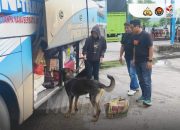 K-9 Polri Gagalkan Penyelundupan Narkoba di Pelabuhan Bakauheni