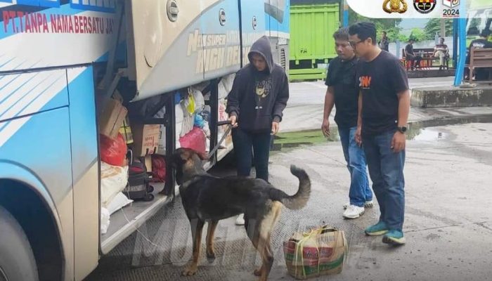 K-9 Polri Gagalkan Penyelundupan Narkoba di Pelabuhan Bakauheni
