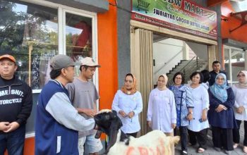 Komitmen Sosial dan Gotong Royong, Kopwan SBW Salurkan 13 Hewan Qurban