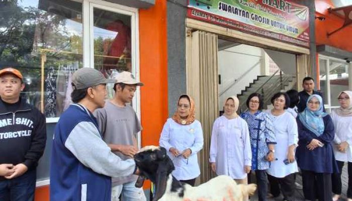 Komitmen Sosial dan Gotong Royong, Kopwan SBW Salurkan 13 Hewan Qurban