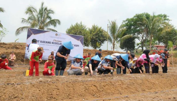 Tak Sekadar Pembinaan, SAE L’SIMA Ngajum Edukasi Siswa SD Lewat Penanaman Kopi dan Kedelai